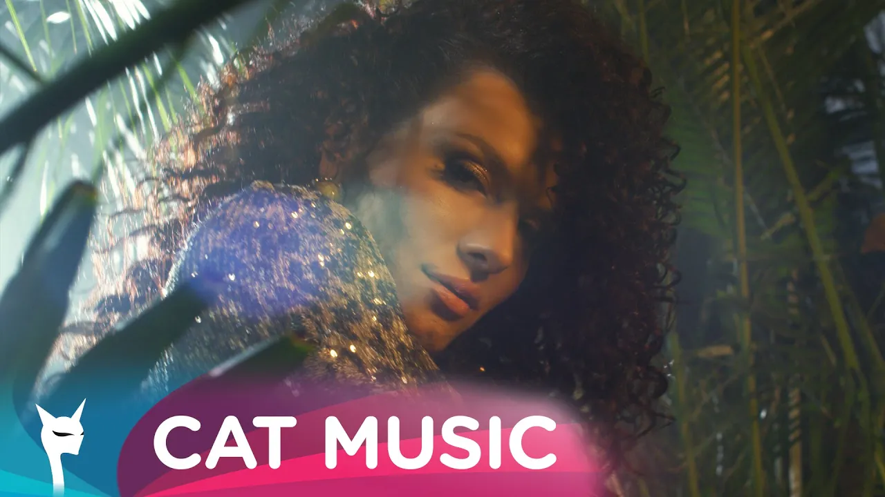 Andreea D feat. BoyFlow - Zuli Zuli (Original Radio Edit)