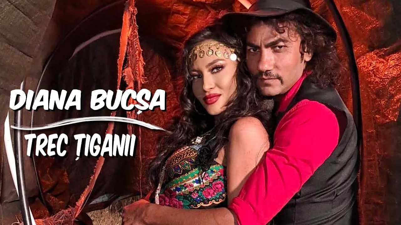Diana Bucsa - Trec tiganii