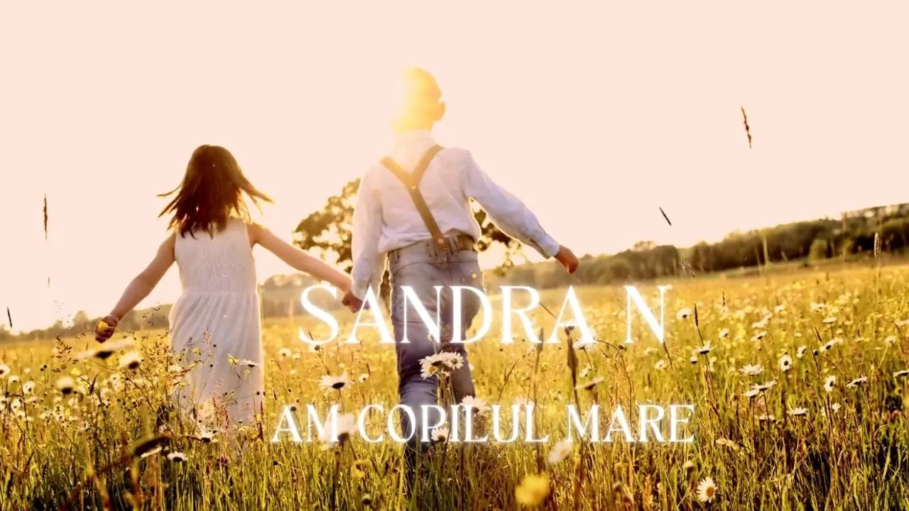 Sandra N - Am copilul mare (Original Radio Edit)
