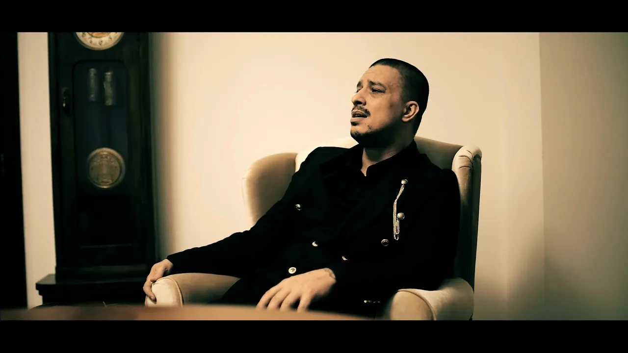 DANI PRINTUL BANATULUI - SUNA-MA (Originala 2021)