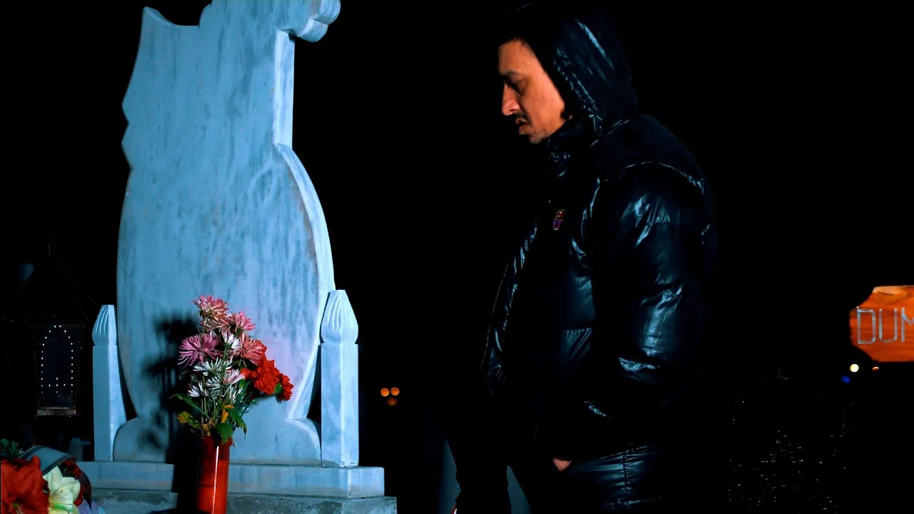 DANI PRINTUL BANATULUI - AVALANSA DE DURERE (Originala 2021)