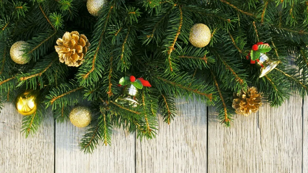 COLAJ COLINDE MOLDOVENESTI 2016-2017 cu FRATII REUT