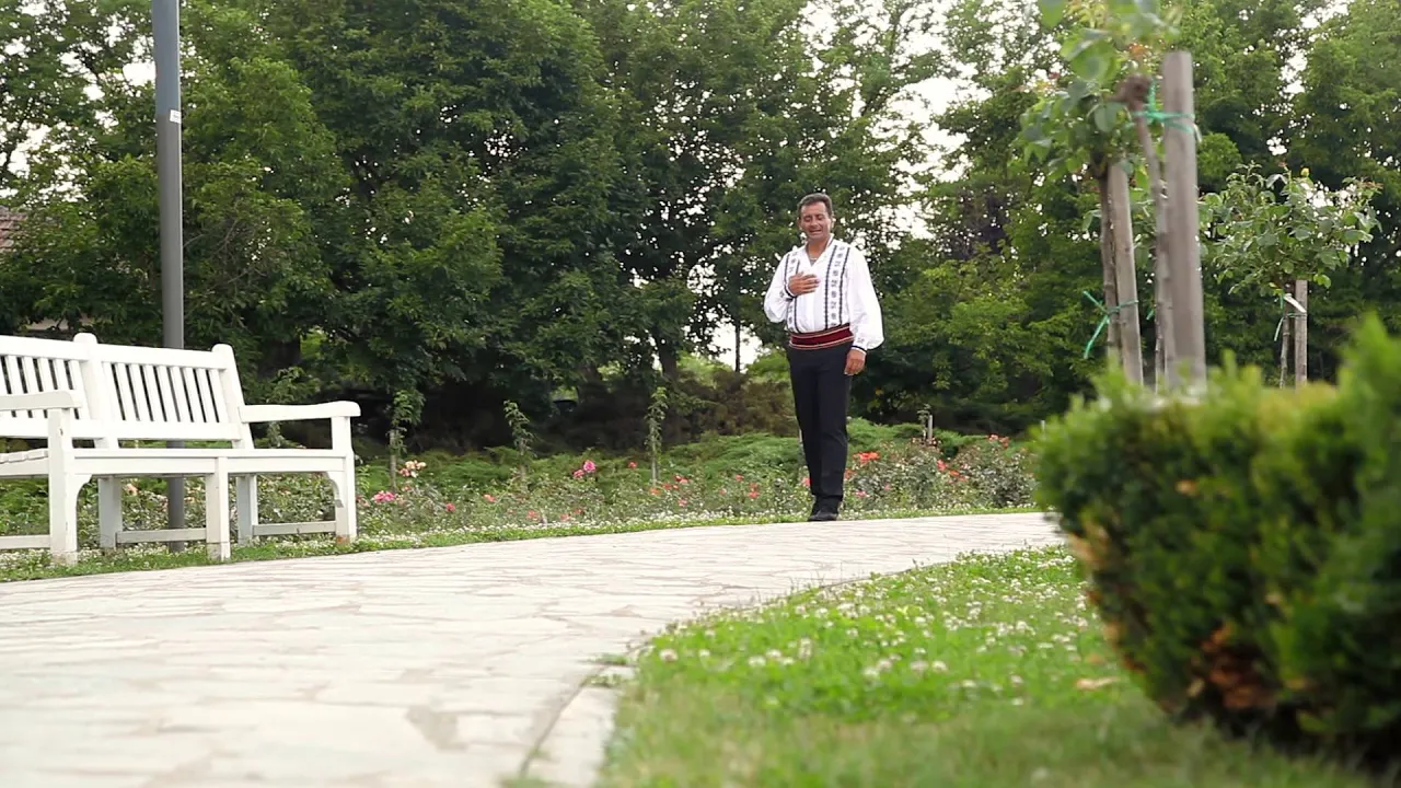 DAN NISTOR - CINTA CUCU