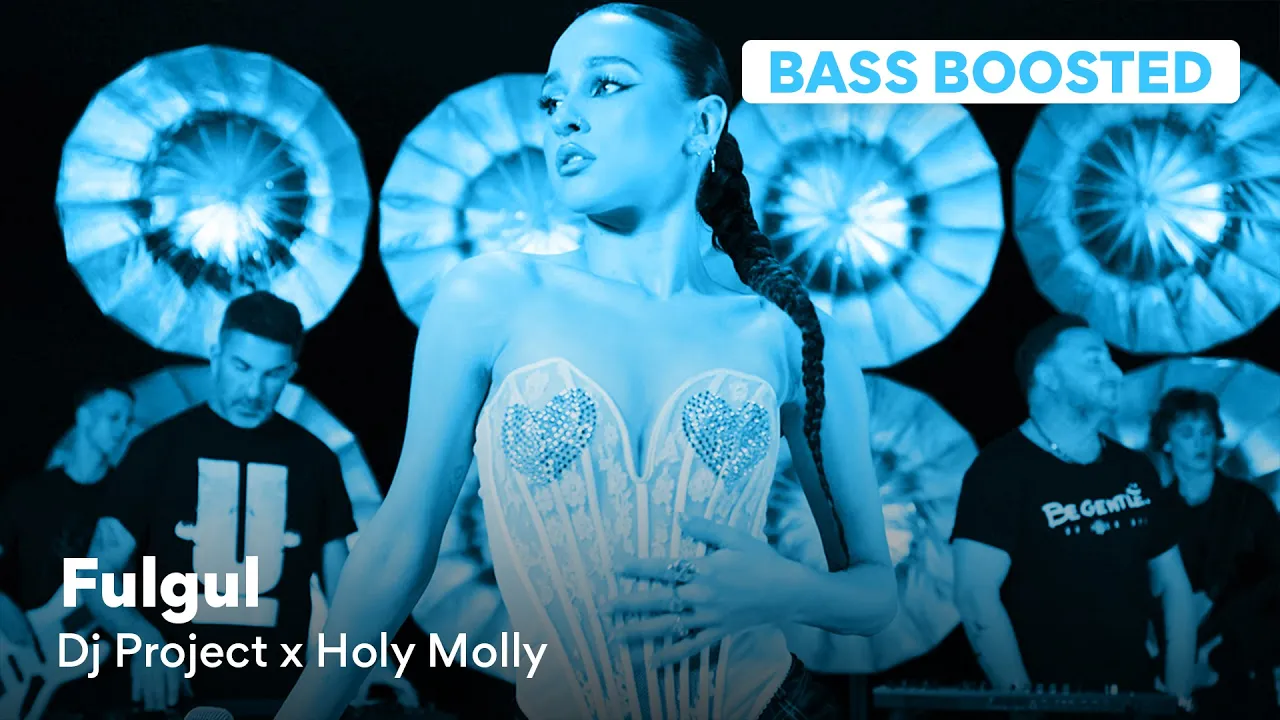 DJ Project x HolyMollyMusic - Fulgul (Bass Boosted)