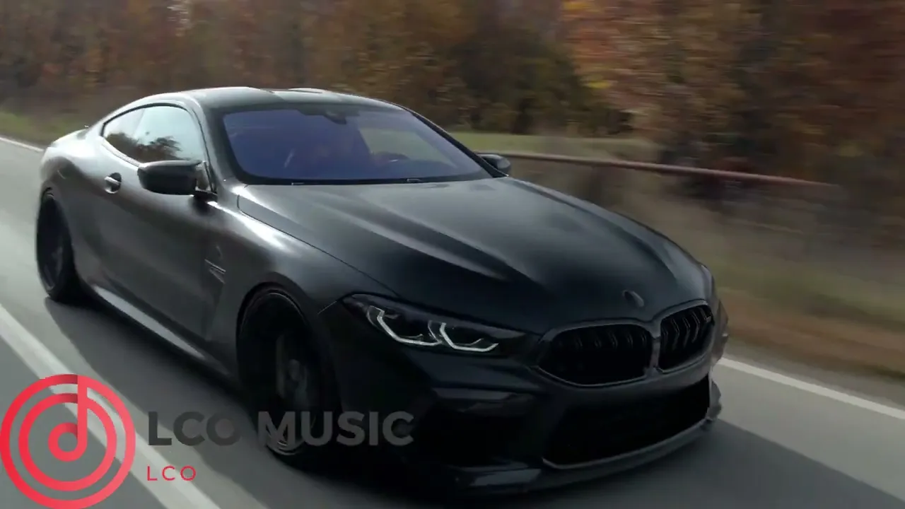 Biceps, triceps si cariceps (LCO Music Remix)