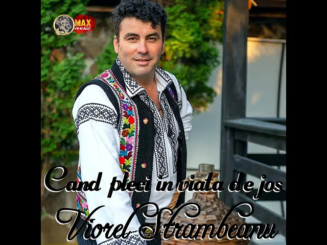 Viorel Strambeanu - Azi Esti In Putere Maine Esti Batran