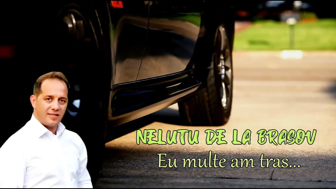 Nelutu de la Brasov - Eu multe am tras