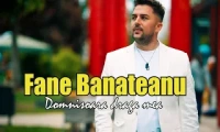 Fane Banateanu - Domnisoara draga mea