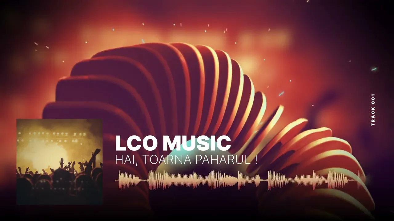 LCO Music - Hai, toarna paharul !