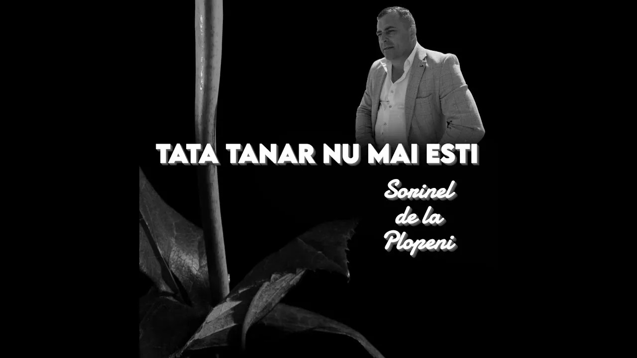 SORINEL DE LA PLOPENI - DEGEABA AM INIMA BUNA