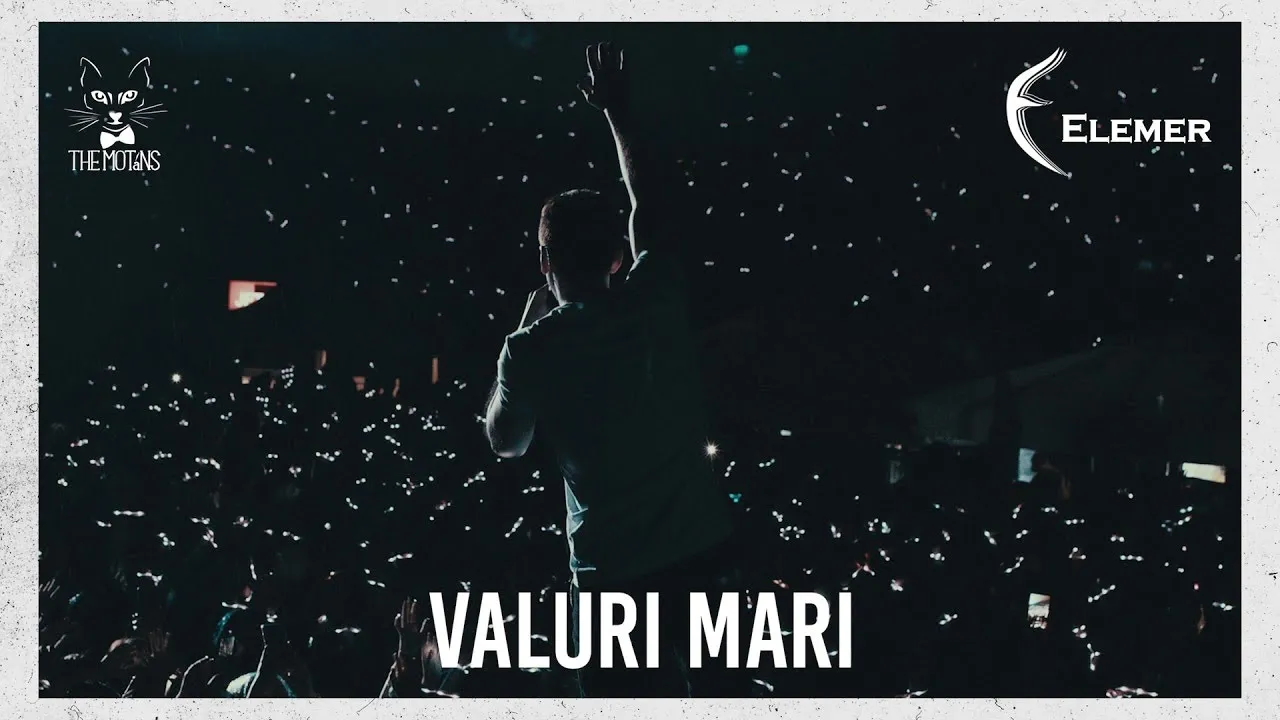 The Motans - Valuri Mari (Elemer Remix)