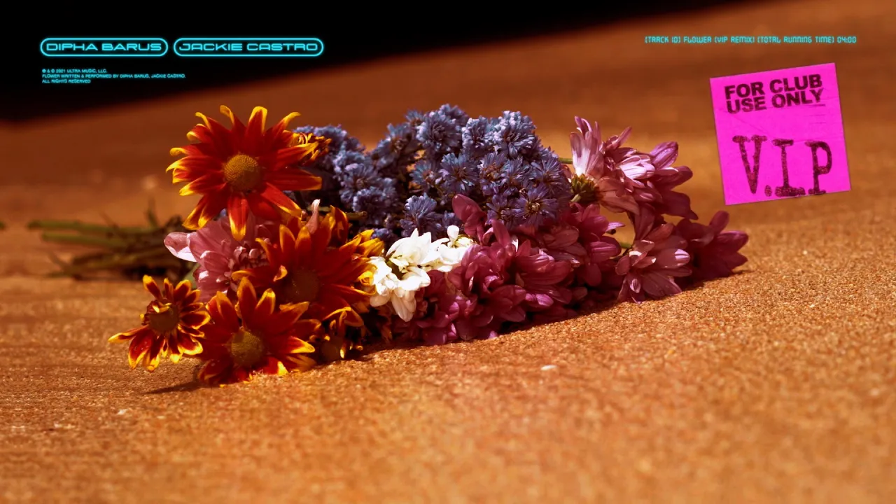 Dipha Barus - Flower feat. Jackie Castro (VIP Remix)