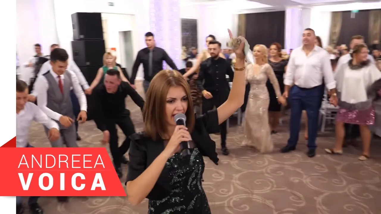 Andreea Voica - Ascultari si de joc