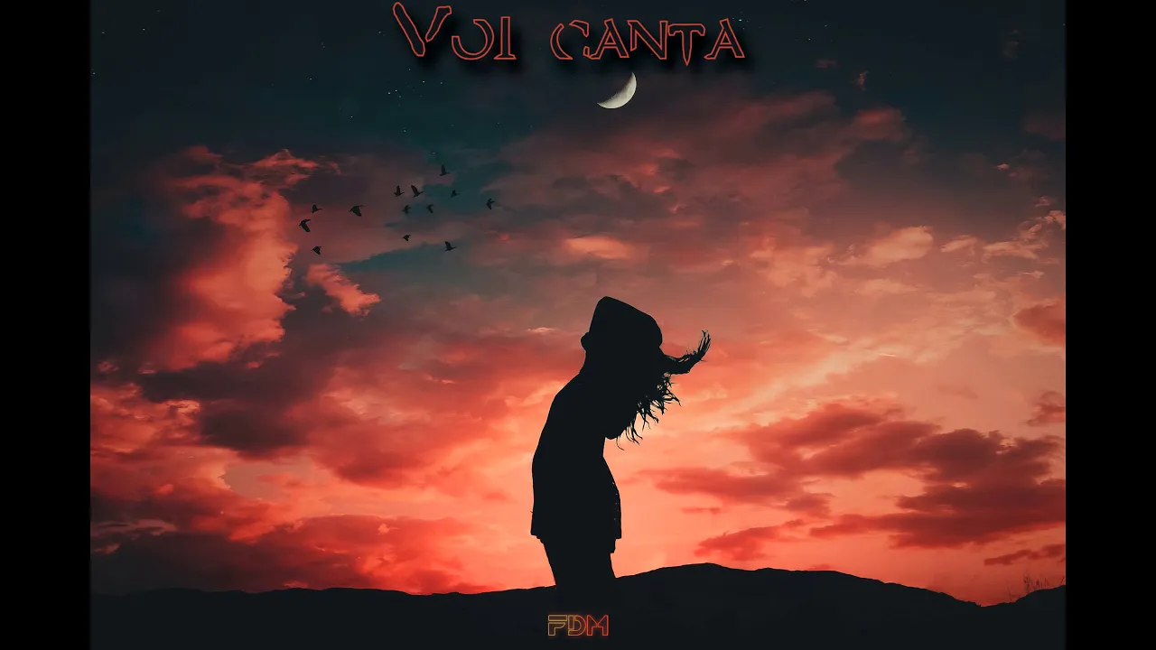 FRDM - Voi canta (Topic, A7S - Breaking Me ft. A7S COVER in romana)