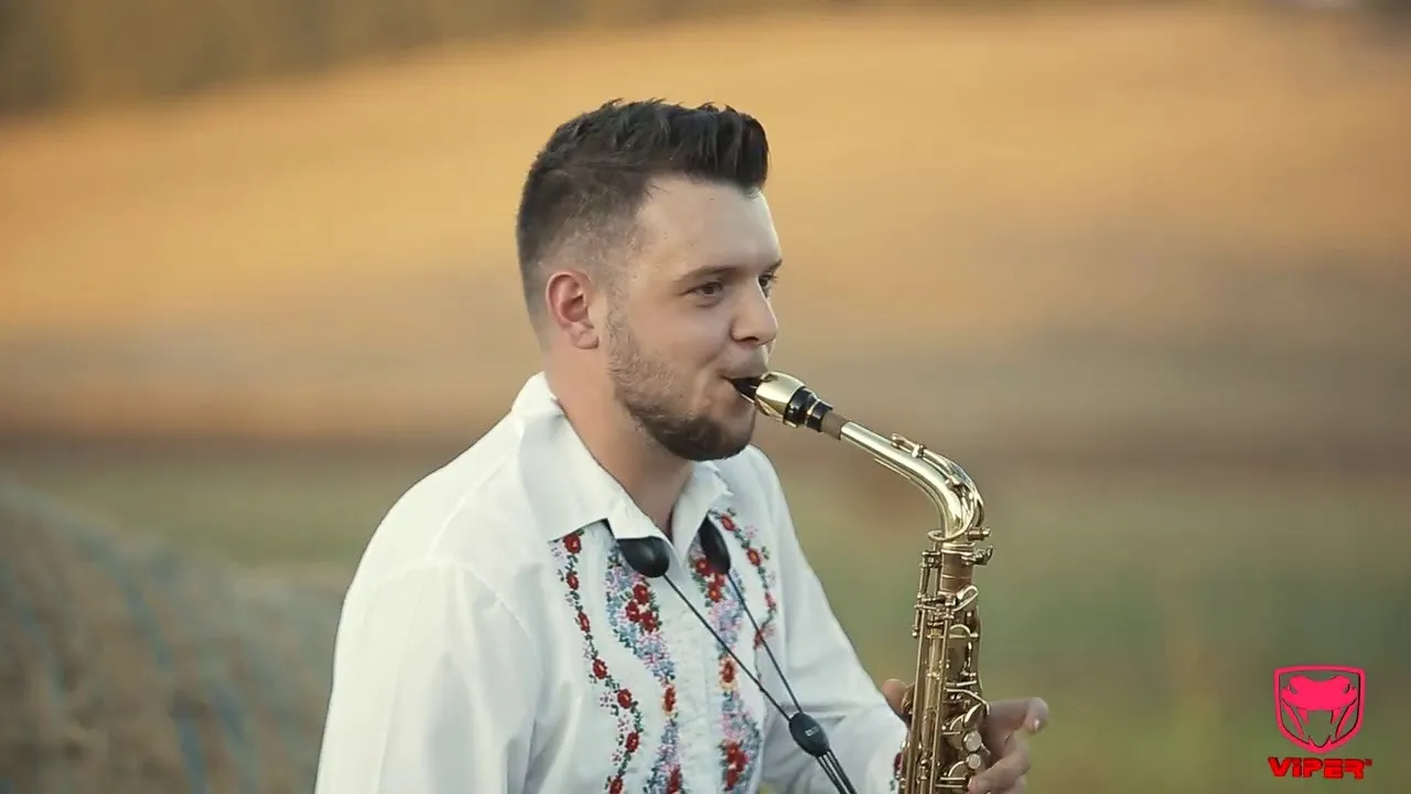 Andrei Campean - Jocu osanului (Instrumental Banat)