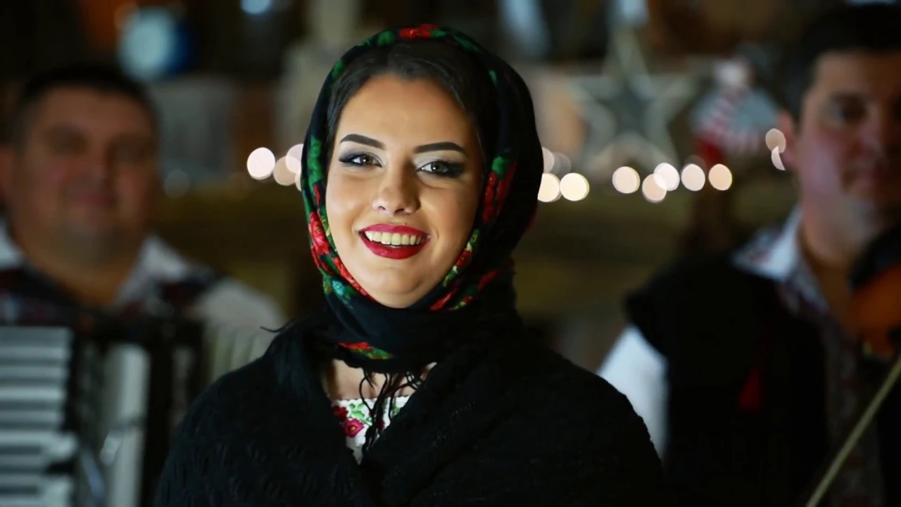 Nicoleta Petrehus - In cetatea Viflaim