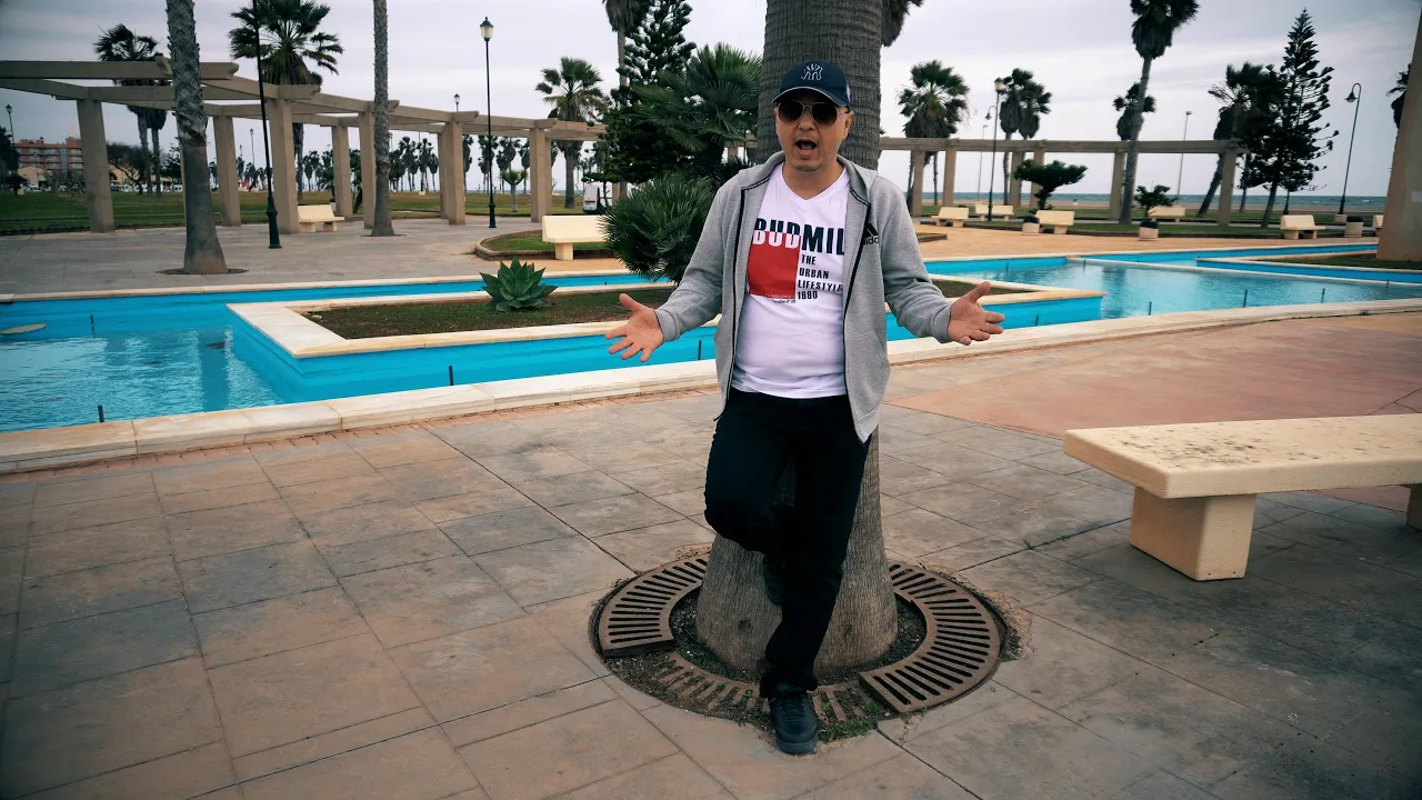 Dj Sebi - Prin straini fac bani grei (Originala 2023)