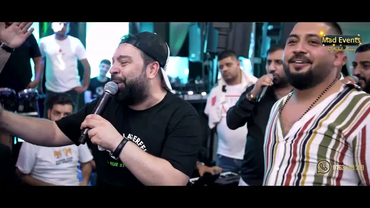 Florin Salam - Seful in domeniu