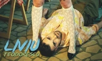 Liviu Teodorescu - Indiferenta