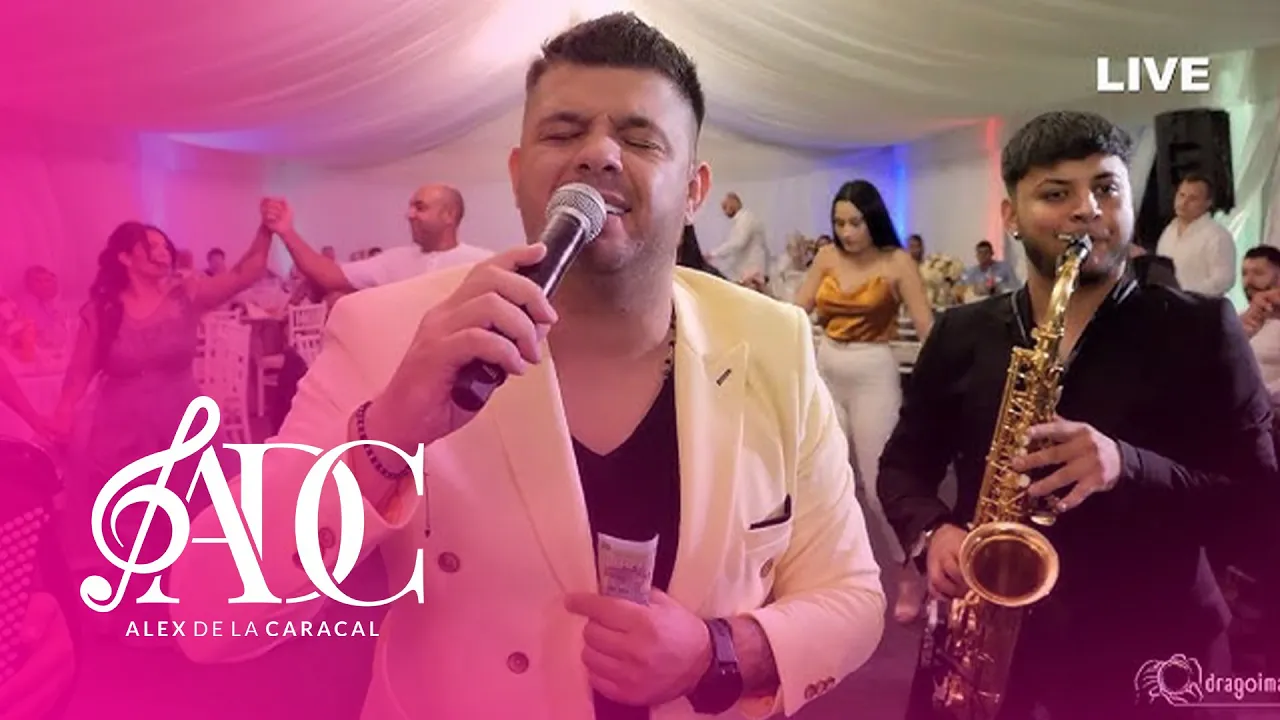Alex de la Caracal - Poti sa ai bani sa-i cari cu roaba (Cover Cristi Mega)