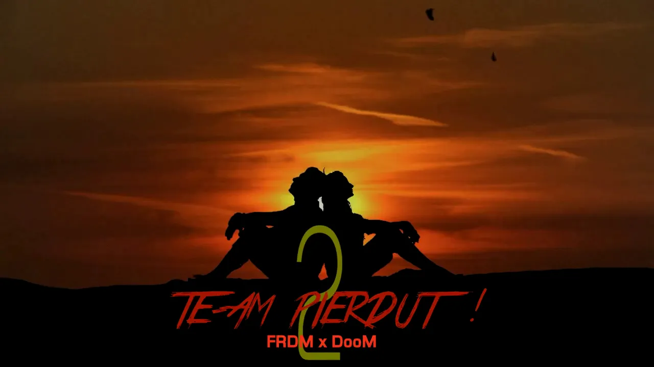 FRDM x DooM - Te-am pierdut (Original Radio Edit)