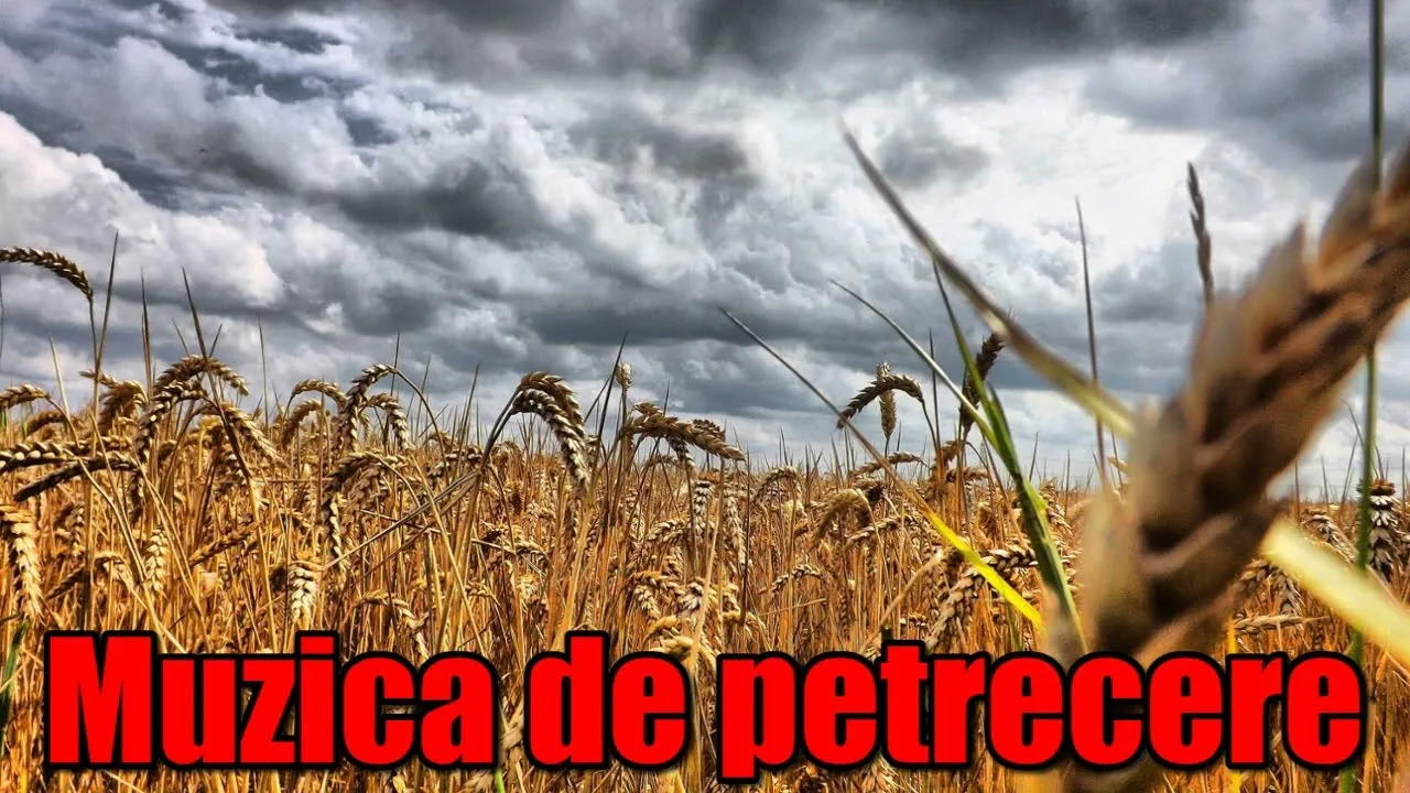 Muzica de petrecere 2021 Cele mai tari Hituri