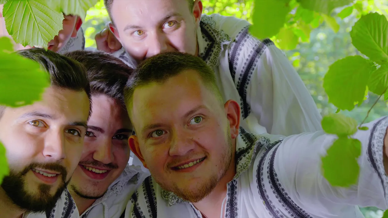 Alex Selegean - Brauri din Banat