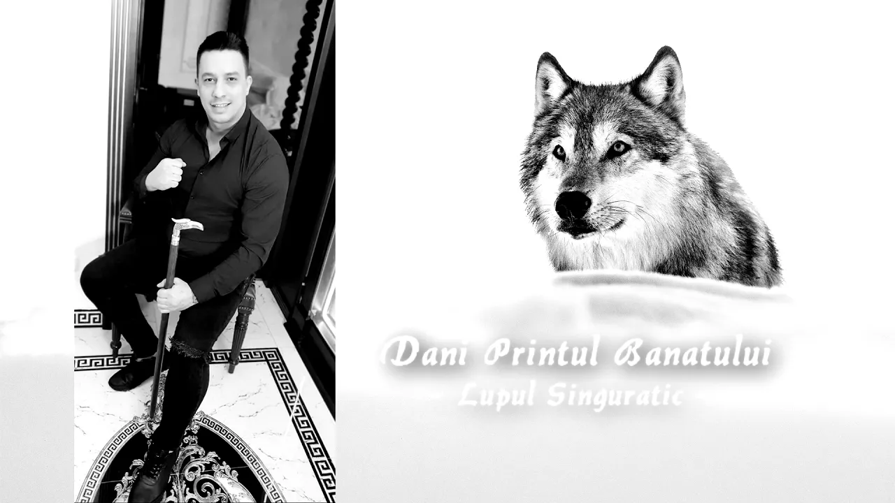 Dani Printul Banatului - Lupul Singuratic (Originala 2020)