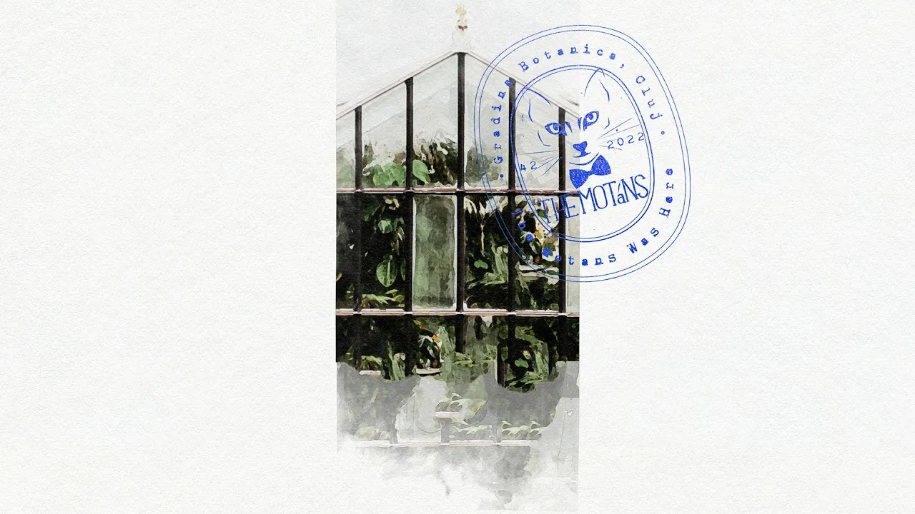 The Motans - Jackpot The Motans Was Here (Live 2022)