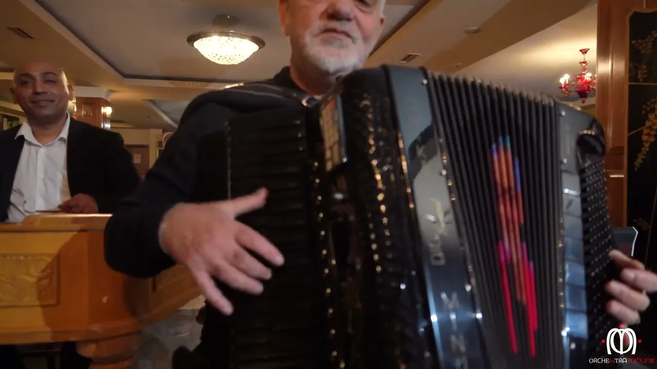 Ionica Minune & Orchestra Minunii - Hangul LIVE 2025 (cover)