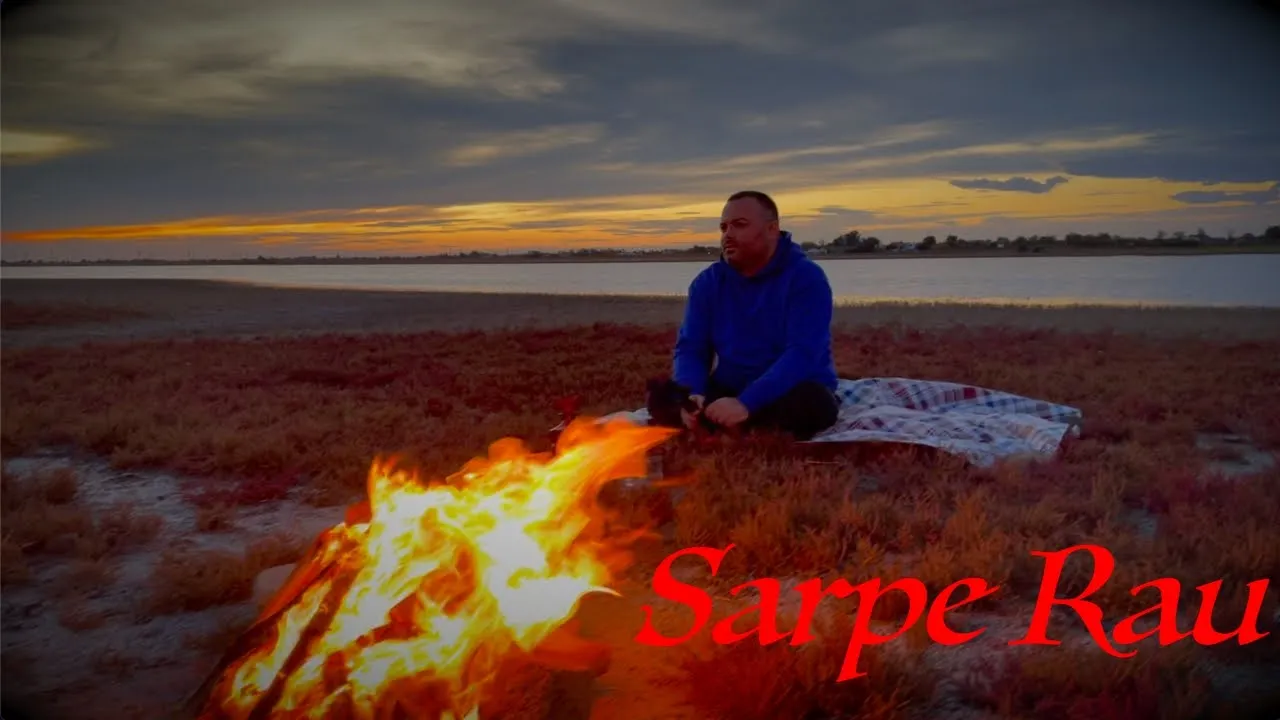 Iulian Grigoras & Mirela Husein - Sarpe rau