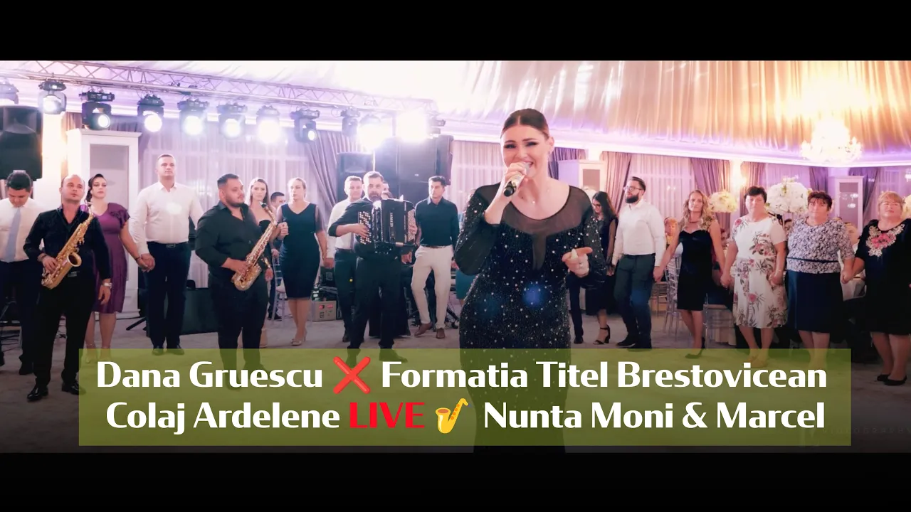 Dana Gruescu x Formatia Titel Brestovicean - Colaj Ardelene