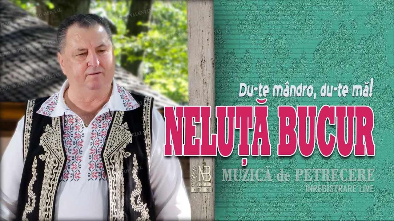 NELUTA BUCUR - Du-te mandro, du-te ma! (Colaj de petrecere)