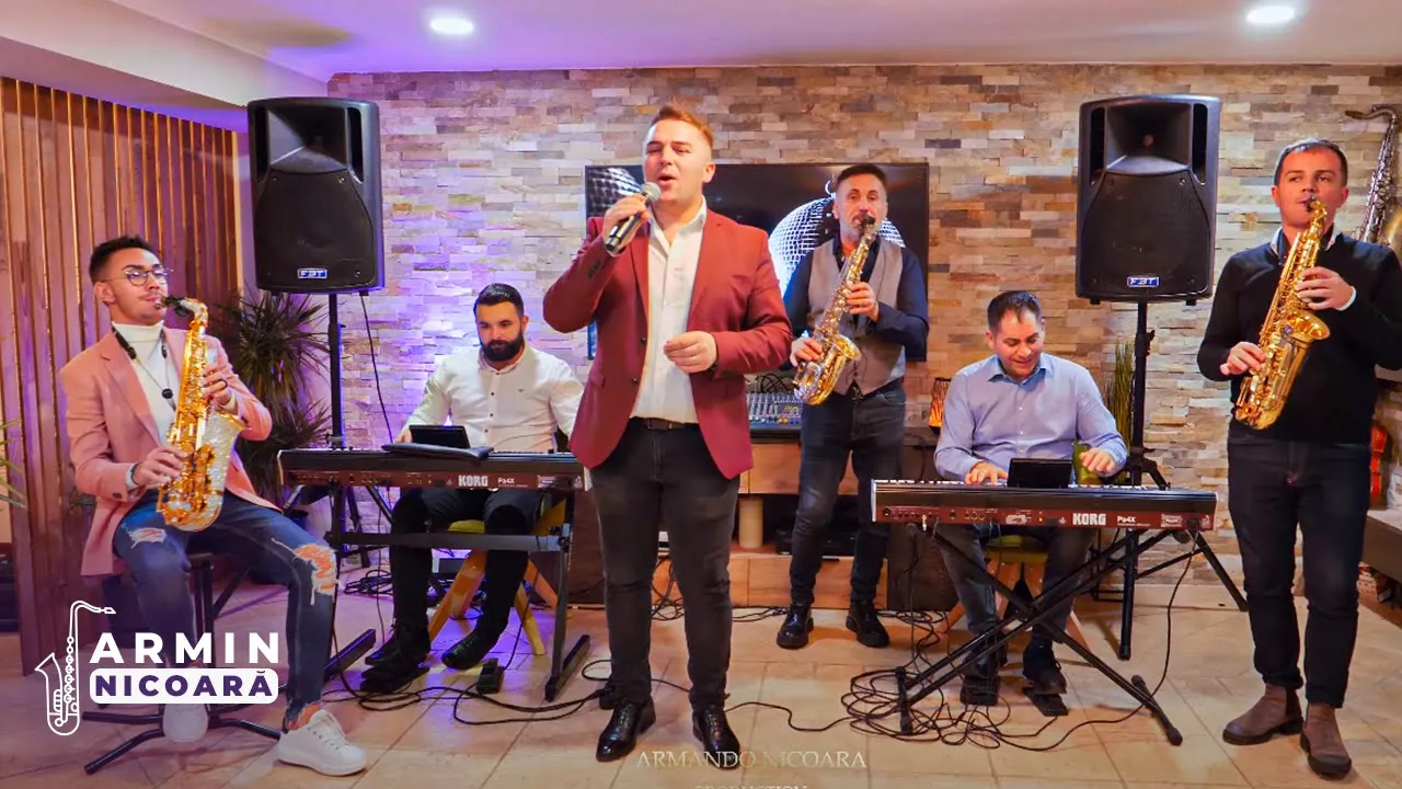 Armin Nicoara si Petrica Nicoara cu Fane Banateanu - Colaj Muzica de Petrecere