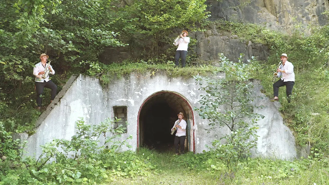 Danut Nicoara - Danut si ortacii lui