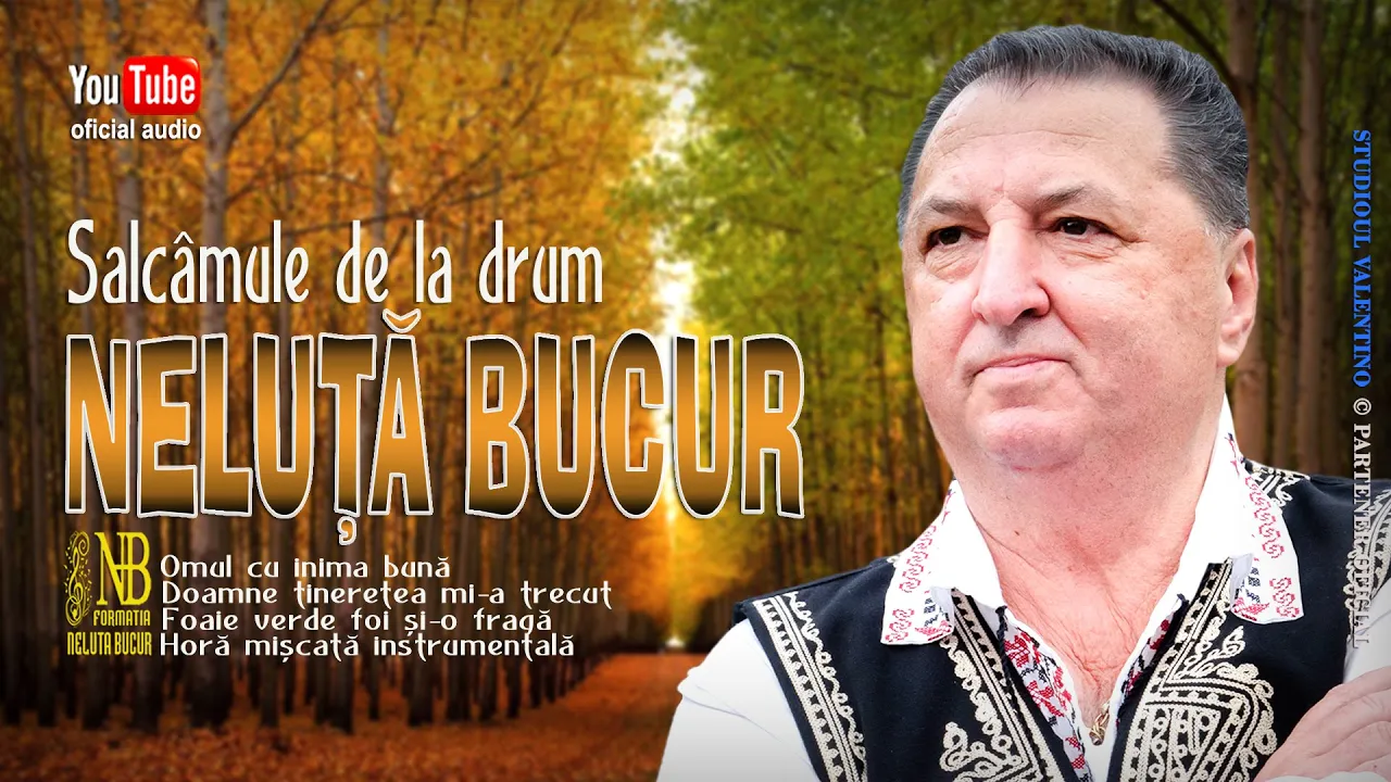 NELUTA BUCUR - Salcamule de la drum (COLAJ 2021)