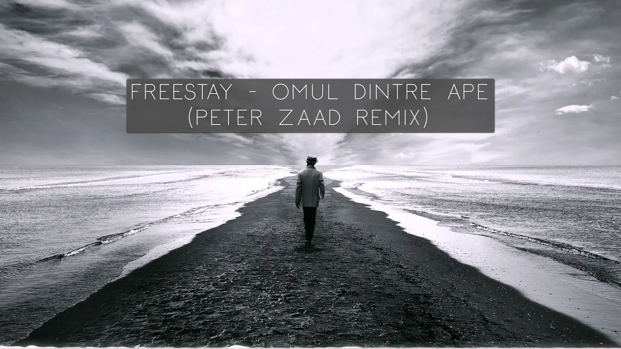 Freestay - Omul Dintre Ape (Peter Zaad Remix)