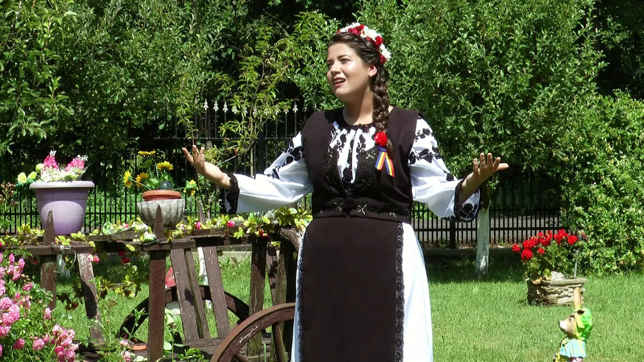 Monica Banciu - Doamne Sfinte de ai putea