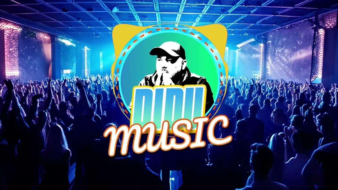 Top 10 HITURI EPICE REMIX de la DIDU MUSIC 2024 COLAJ