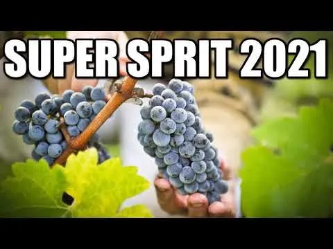 CHEF SI VOIE BUNA 2021 CEL MAI BUN COLAJ MUZICA DE PETRECERE