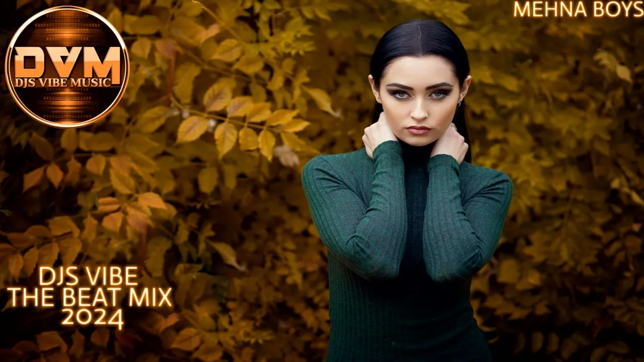 Djs Vibe - The Beat Mix 2024 (Mehna Boys)