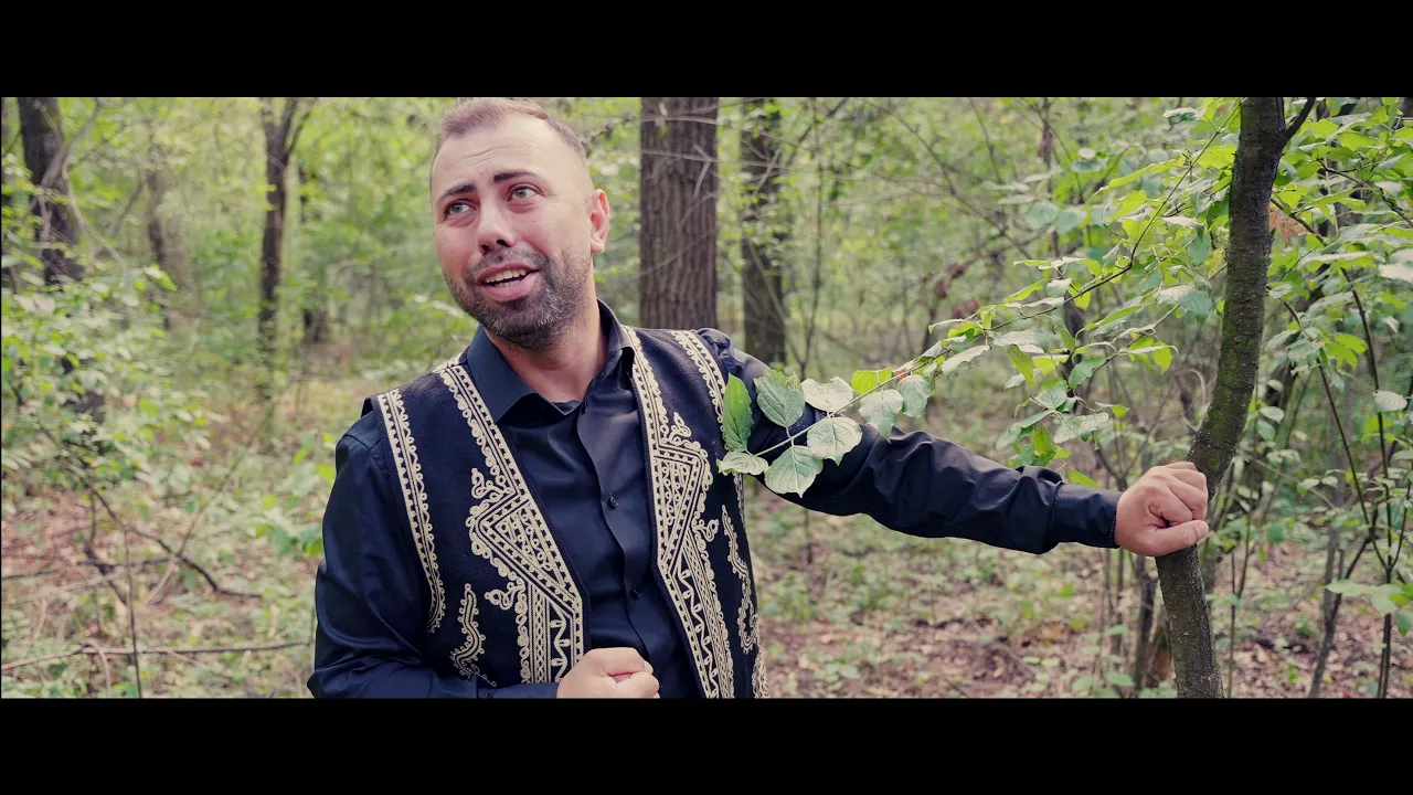 Romica Ciocarlan - Padure, padure draga