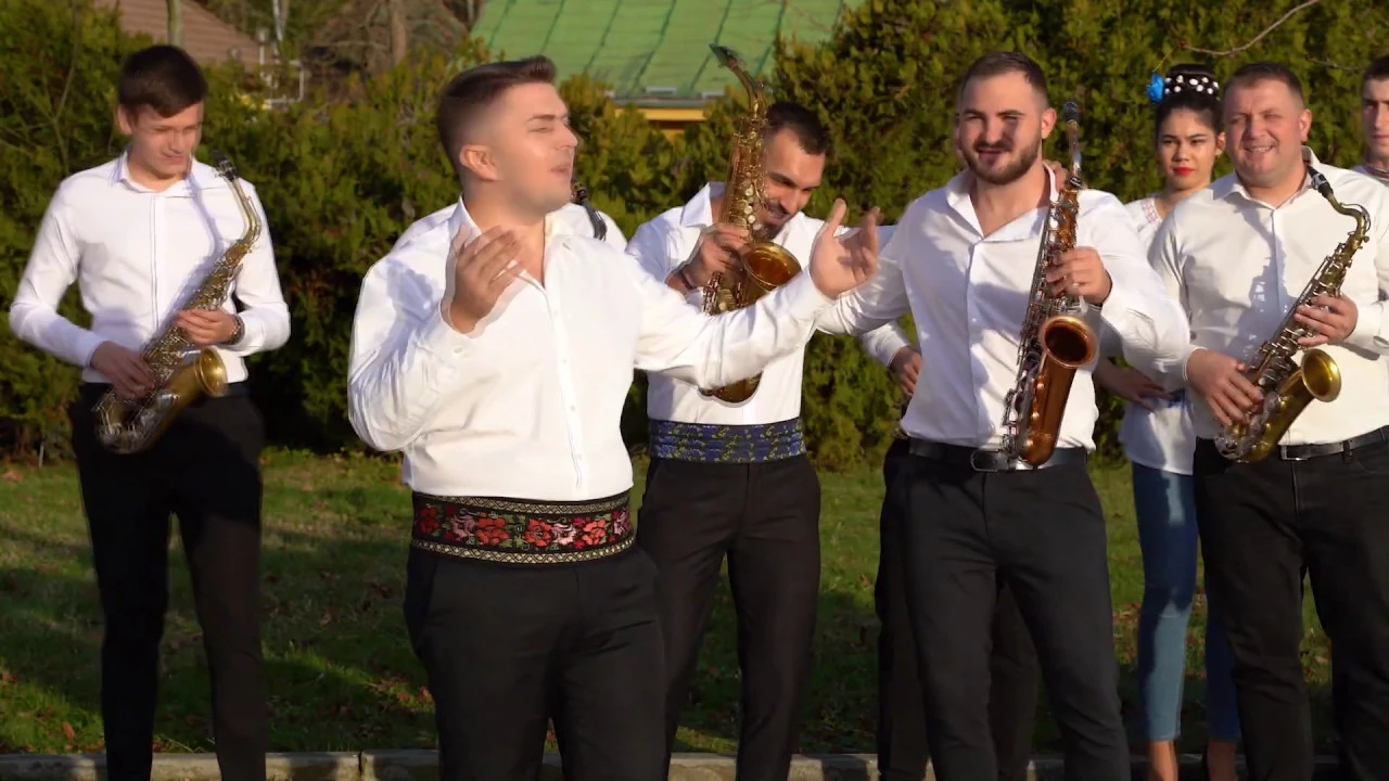 Fane Banateanu - Imi pun flori la palarie, si-apoi ma duc la Marie