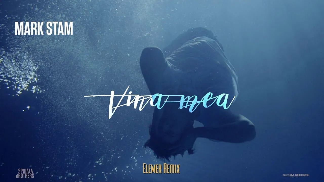 Mark Stam vs Elemer - Vina Mea (Remix)