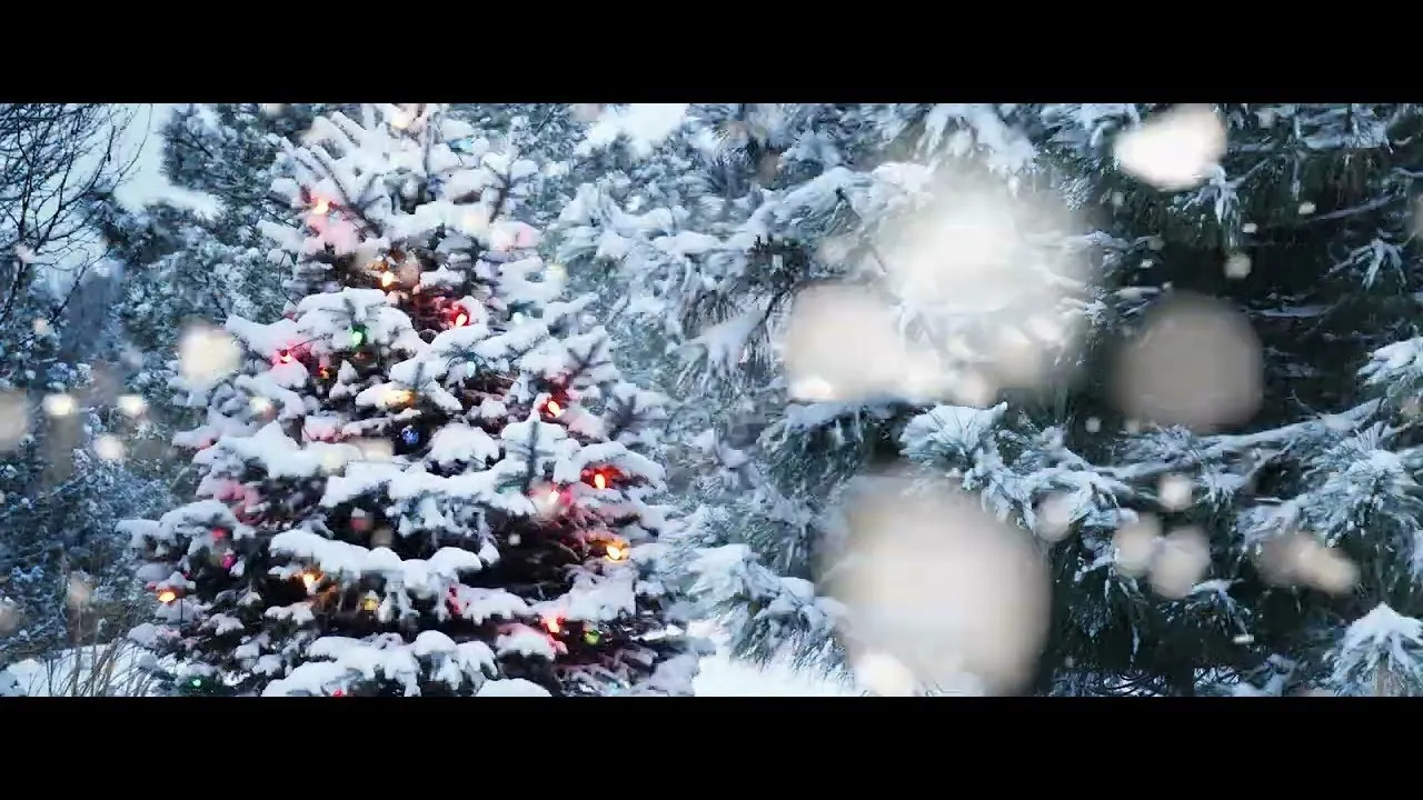 Andreea Socaci - Din an in an (Colind)