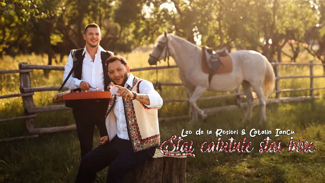 Leo de la Rosiori x Catalin Iancu - Stai calutule stai bine