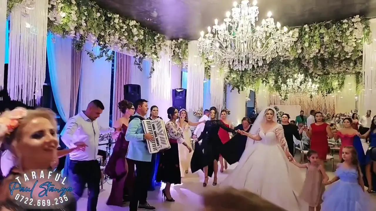 Paul Stanga si taraful - colaj cu melodii de petrecere live 2024