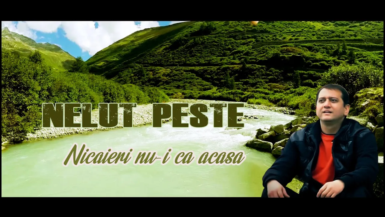 NELUT PESTE - NICAIERI NU-I CA ACASA ...2020