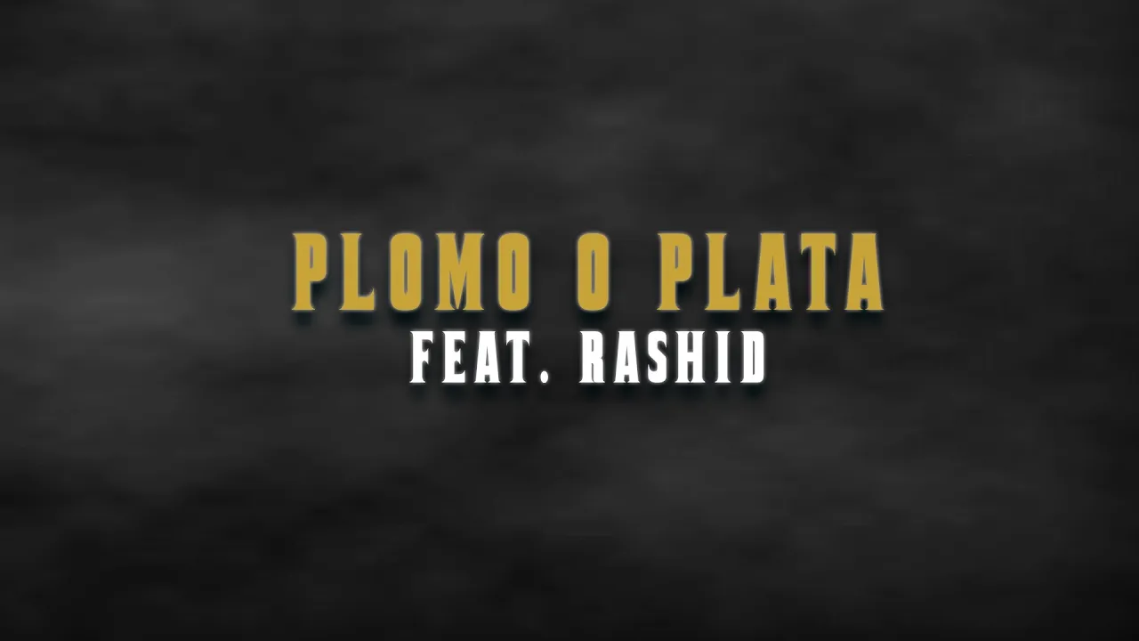 Jon Baiat Bun feat. Rashid - Plomo o plata (Original Radio Edit)