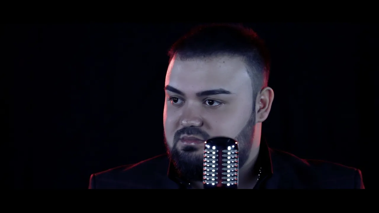 Leonard Vijelie - Fericire-n inima-mi apari (Originala 2020)